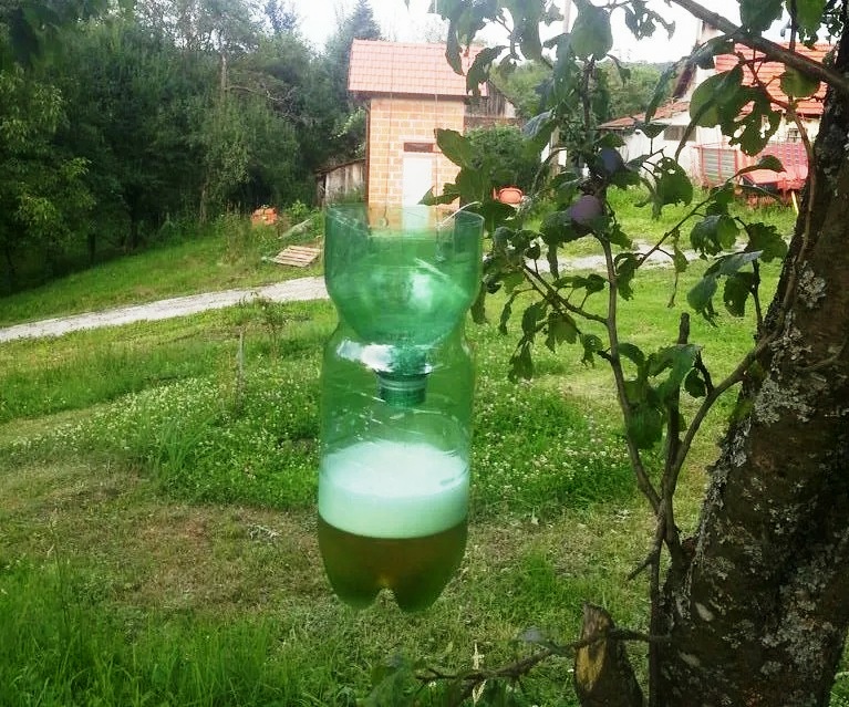 Ловушка для сада